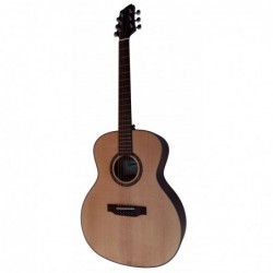 Outlet A58 - Egmond Guitarra Acustica AV-51 Tapa Maciza con Golpe en la Tapa A1