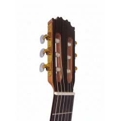 Outlet A53 - C320.580 Guitarra Flamenca Vicente Tatay con Golpe en la Tapa  Con - Fondo de Sicomoro con Tapa de Abeto - Acabado 