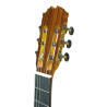 Antonio De Toledo Modelo ATF-16M Guitarra Flamenca de Arce Rizado Ambar