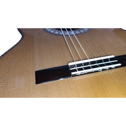 Antonio De Toledo Modelo ATF-16M Guitarra Flamenca de Arce Rizado Ambar
