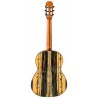 Outlet A14 - Antonio De Toledo Modelo ATF-17EB CUT con Cutaway Guitarra Flamenca de Ebano Blanco con Double Os1 Con Golpecito Ab