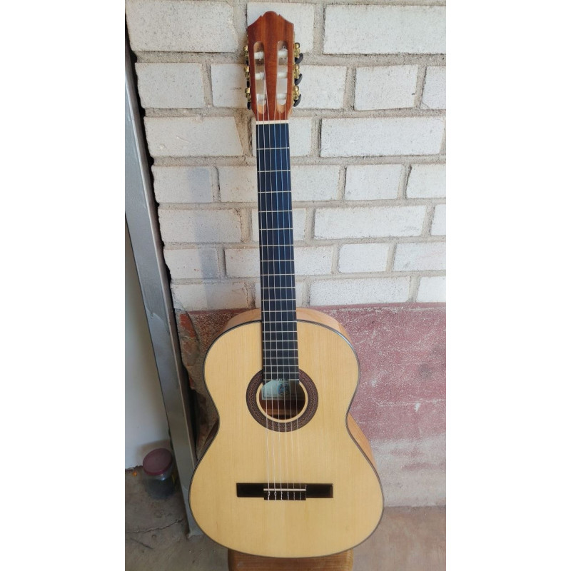 Outlet A65 - C320.202F Guitarra de iniciacion Vicente Tatay valida para Clasico y Flamenco, con golpeador incluido sin instalar 
