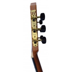 Outlet A66 - C320.202F Guitarra de iniciacion Vicente Tatay valida para Clasico y Flamenco, con golpeador incluido sin instalar 