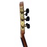 Outlet A66 - C320.202F Guitarra de iniciacion Vicente Tatay valida para Clasico y Flamenco, con golpeador incluido sin instalar 