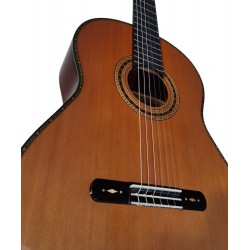 Outlet A73 - Antonio De Toledo Serie Legado Modelo AAT-15CE Cut Cedro CEQ Fishman Con Cutaway con Marcas Superficiales en la Par