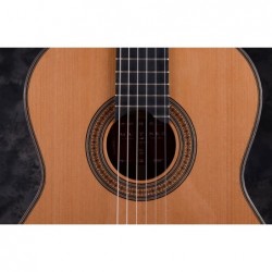 Outlet A75 - Jose Rincon MODELO ESPAÑA ES-12C Guitarra maciza 12 C con Golpe en la Pala/Cabeza y Con Marcas Superficiales De Uso