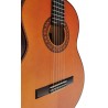 Outlet A76 - Antonio de Toledo ATF-17EBR – Guitarra Flamenca de Ebano Blanco Teñido de Rojo con Golpe De Una Cuerda Debajo De Pu