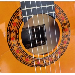 Outlet A76 - Antonio de Toledo ATF-17EBR – Guitarra Flamenca de Ebano Blanco Teñido de Rojo con Golpe De Una Cuerda Debajo De Pu
