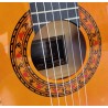 Outlet A76 - Antonio de Toledo ATF-17EBR – Guitarra Flamenca de Ebano Blanco Teñido de Rojo con Golpe De Una Cuerda Debajo De Pu