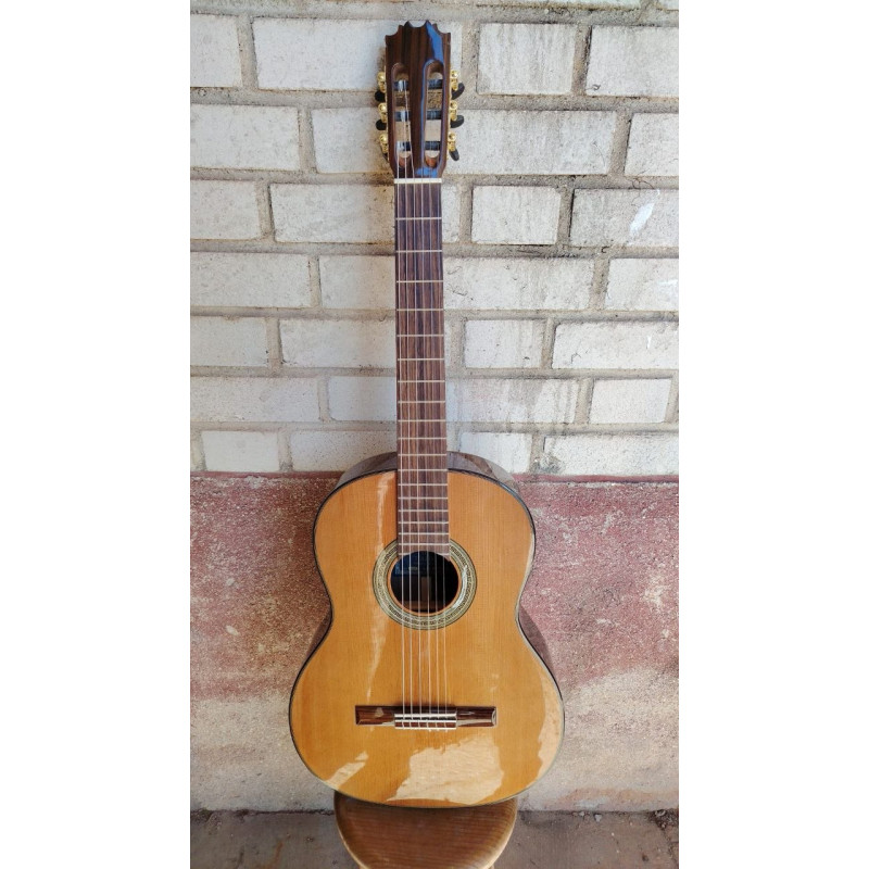 Outlet A82 - Antonio De Toledo AT-15C – Guitarra Clasica con Tapa Maciza de Cedro y Fondo y Aros de Palosanto con Con AlgúN Sign