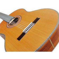 Outlet A82 - Antonio De Toledo AT-15C – Guitarra Clasica con Tapa Maciza de Cedro y Fondo y Aros de Palosanto con Con AlgúN Sign