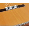 Outlet A82 - Antonio De Toledo AT-15C – Guitarra Clasica con Tapa Maciza de Cedro y Fondo y Aros de Palosanto con Con AlgúN Sign