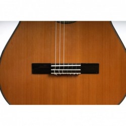 Outlet A82 - Antonio De Toledo AT-15C – Guitarra Clasica con Tapa Maciza de Cedro y Fondo y Aros de Palosanto con Con AlgúN Sign
