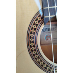 Outlet B02 - Vicente Tatay C320.580CE – Guitarra Flamenca Amplificada con Cutaway, Previo Joyo, Alma Ajustable y Golpeador con D