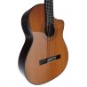Outlet B03 - Antonio De Toledo Modelo E15 Cedro CEQ Fishman Con Cutaway AT-15CE Cut con Puente Reparado y Alguna Marca De Uso