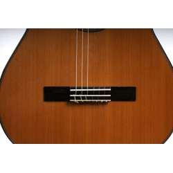 Outlet B03 - Antonio De Toledo Modelo E15 Cedro CEQ Fishman Con Cutaway AT-15CE Cut con Puente Reparado y Alguna Marca De Uso